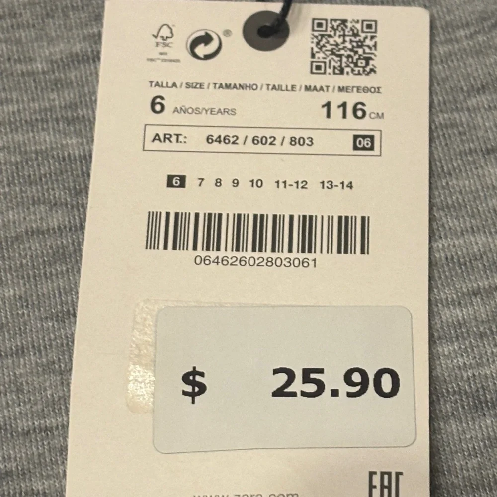 Zara Girl’s Light Gray Hoodie Size 6